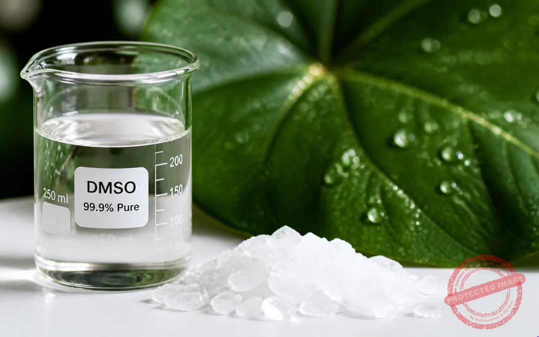 The Role of DMSO in Enhancing Transdermal Magnesium Absorption: 2026 Science Update